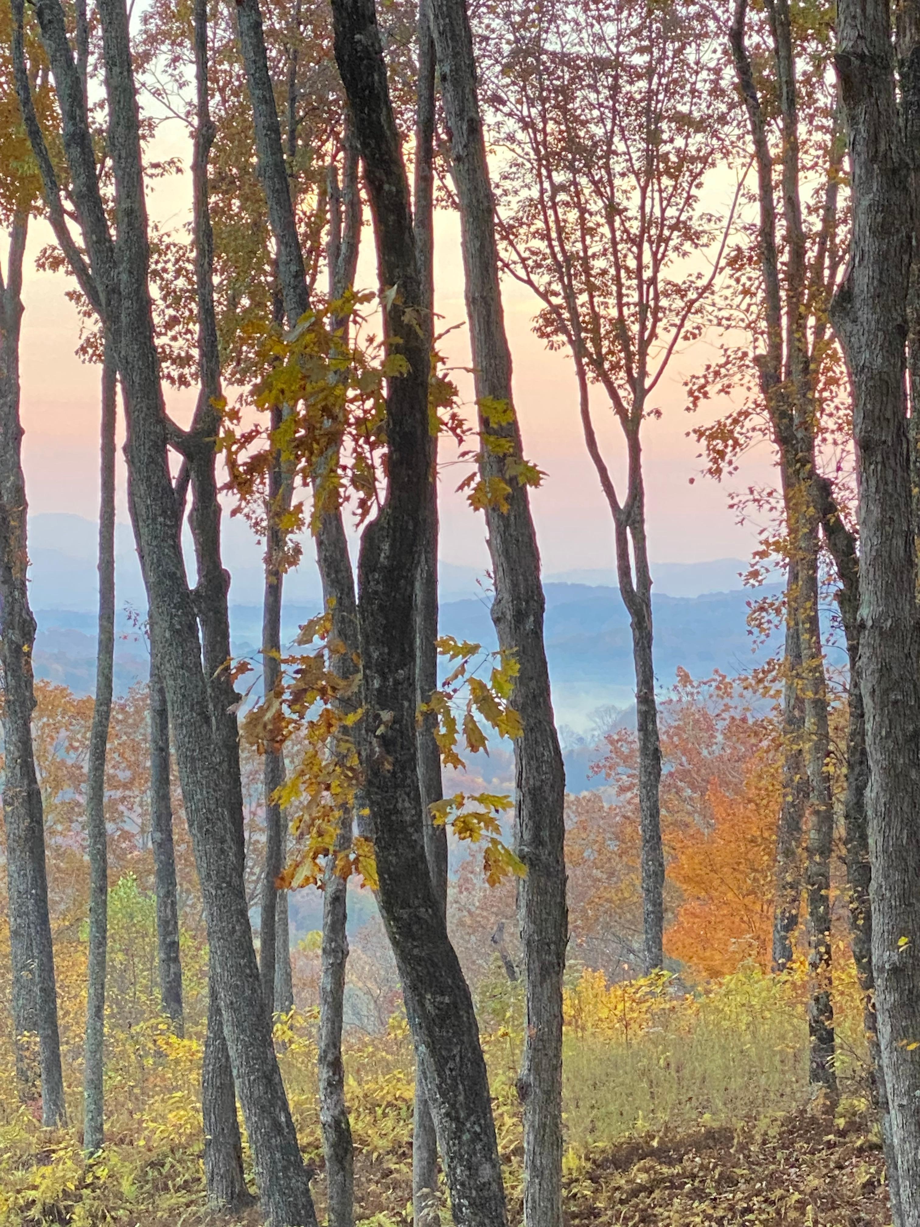 Fall colors were smiling 