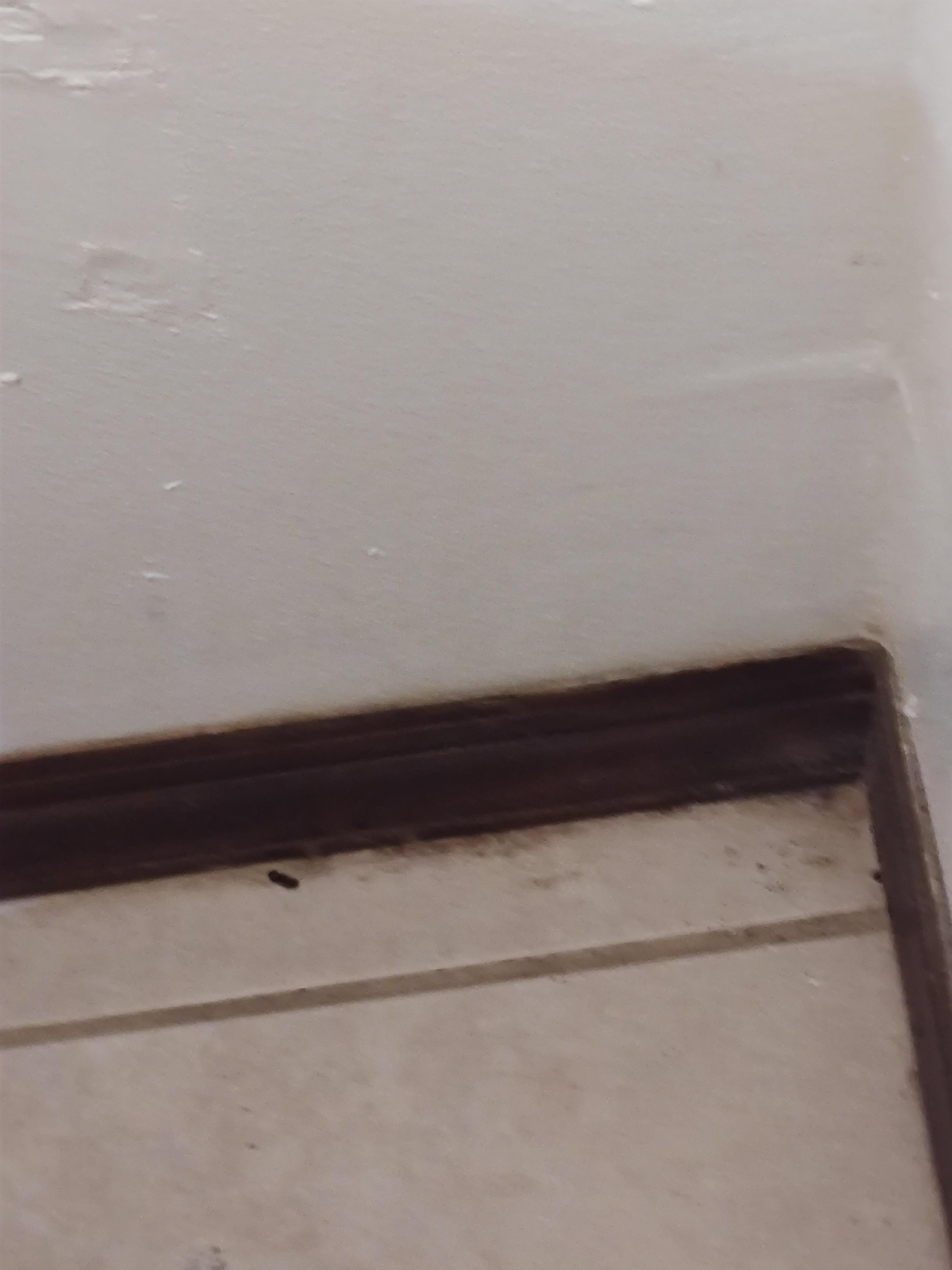 Corner in one of the rooms. As you zoom in you will see it more clearly.