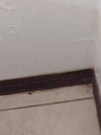 Corner in one of the rooms. As you zoom in you will see it more clearly.