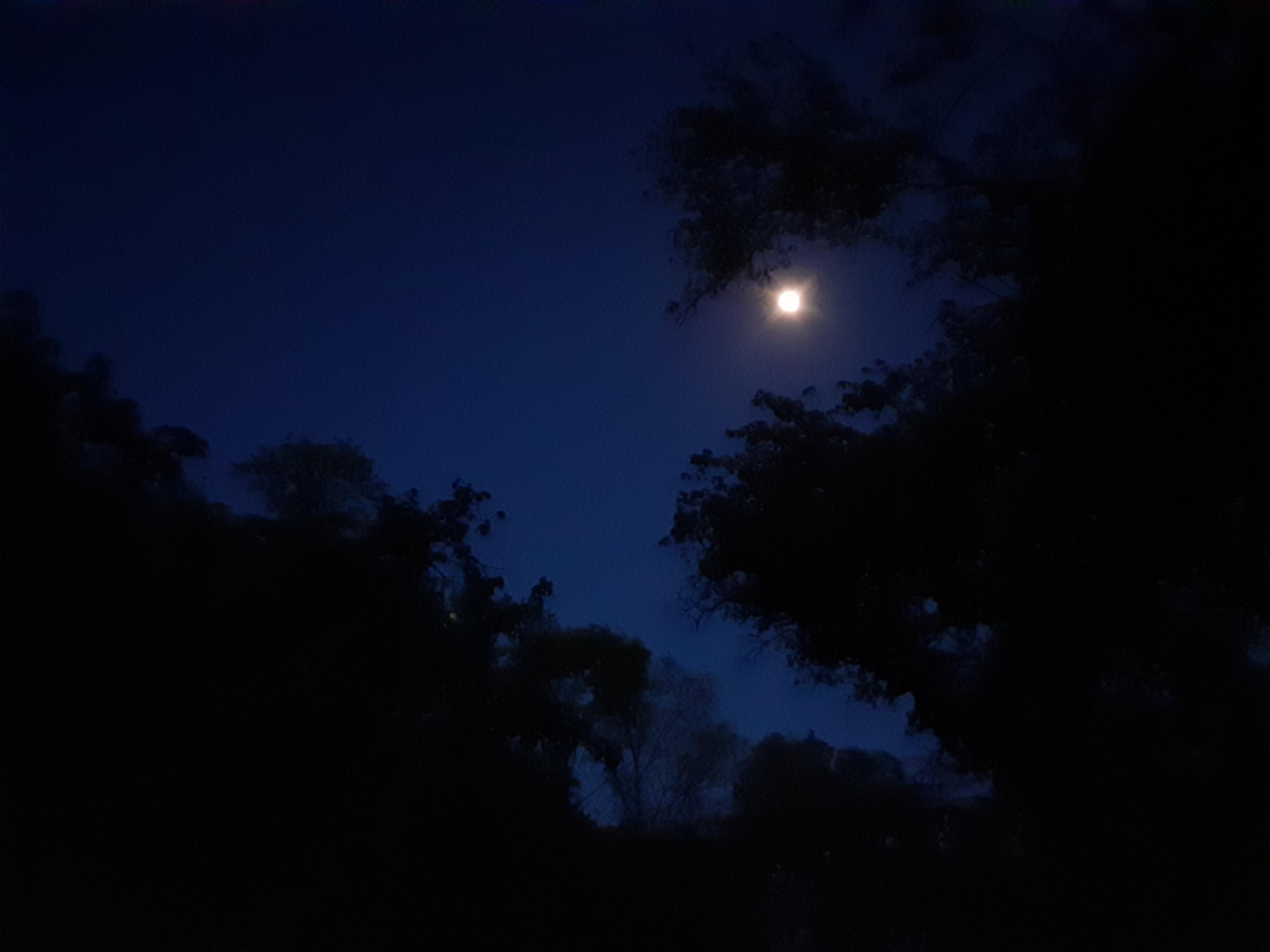 Moon over the river