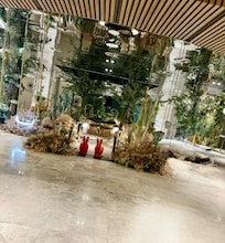 Mondrian Indoor Garden Display