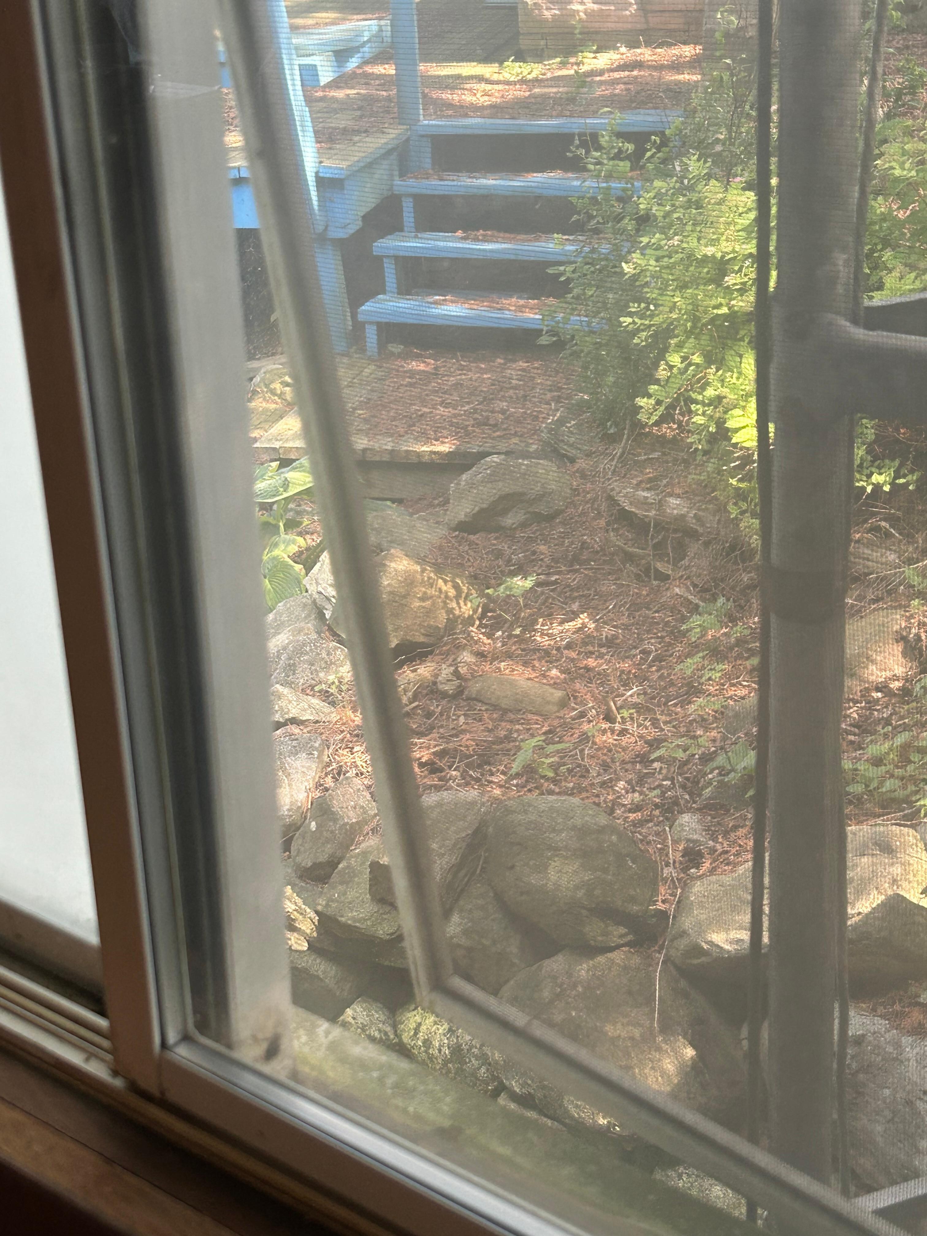 Screen in disrepair, window unable to be opened.