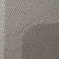 Hair on sheets