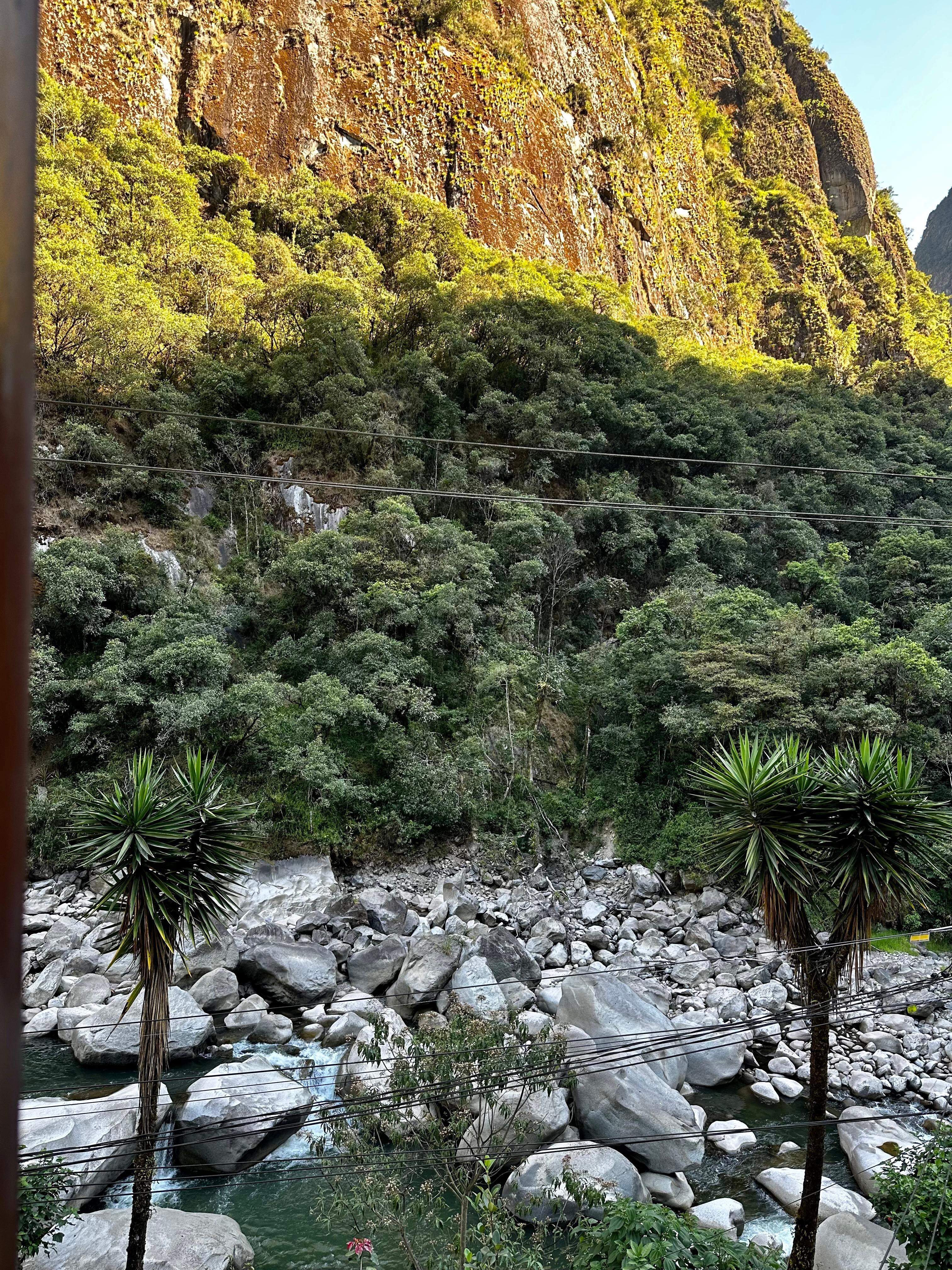View from the window 
