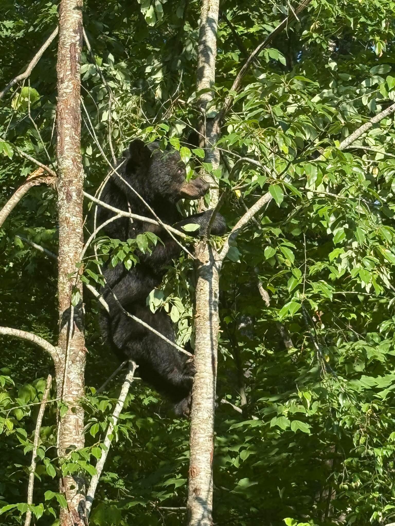 Little guy having breakfast right next to the balcony.