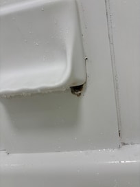 Mold in tub under soap holder.