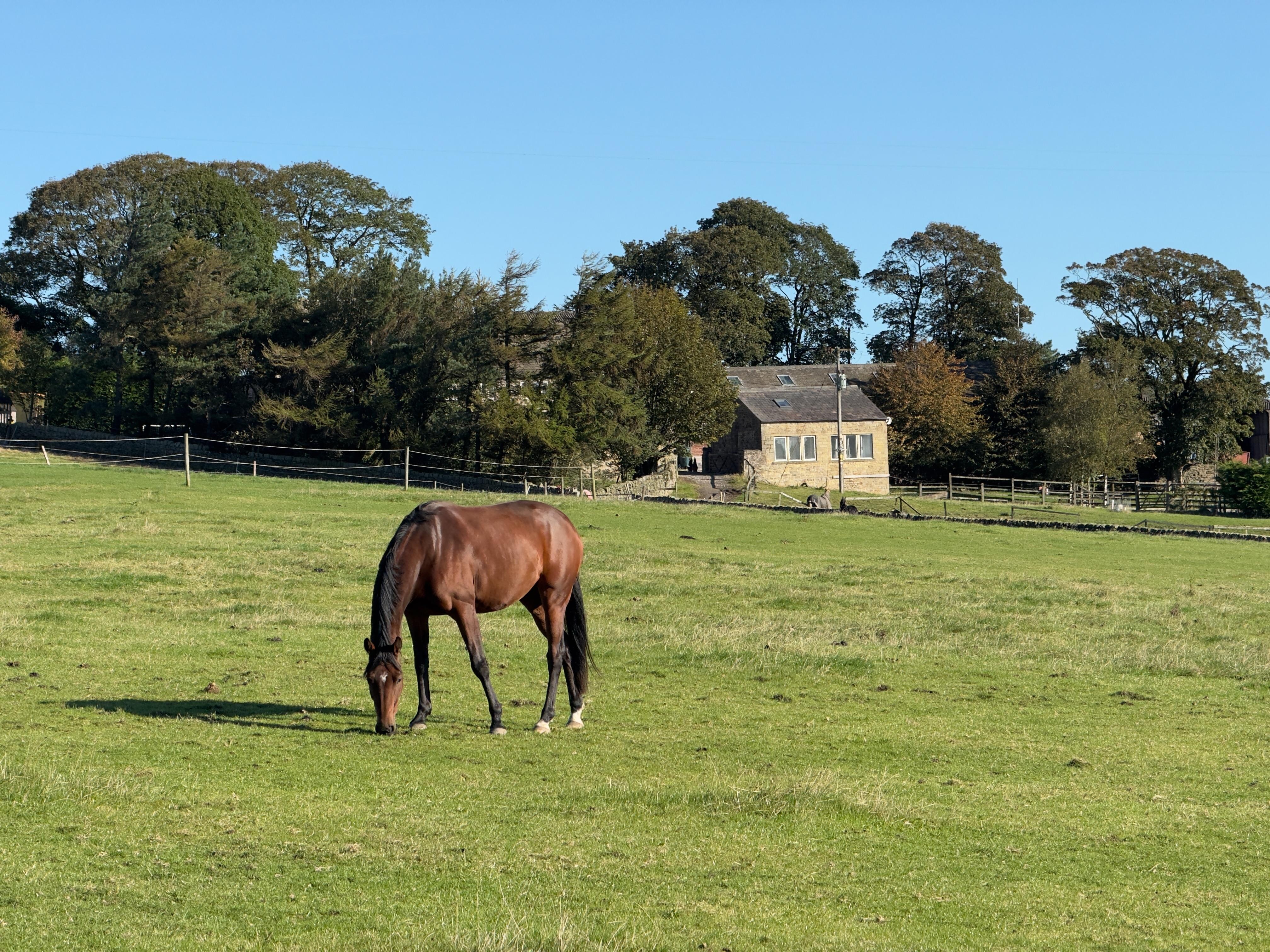 That’s the cottage!