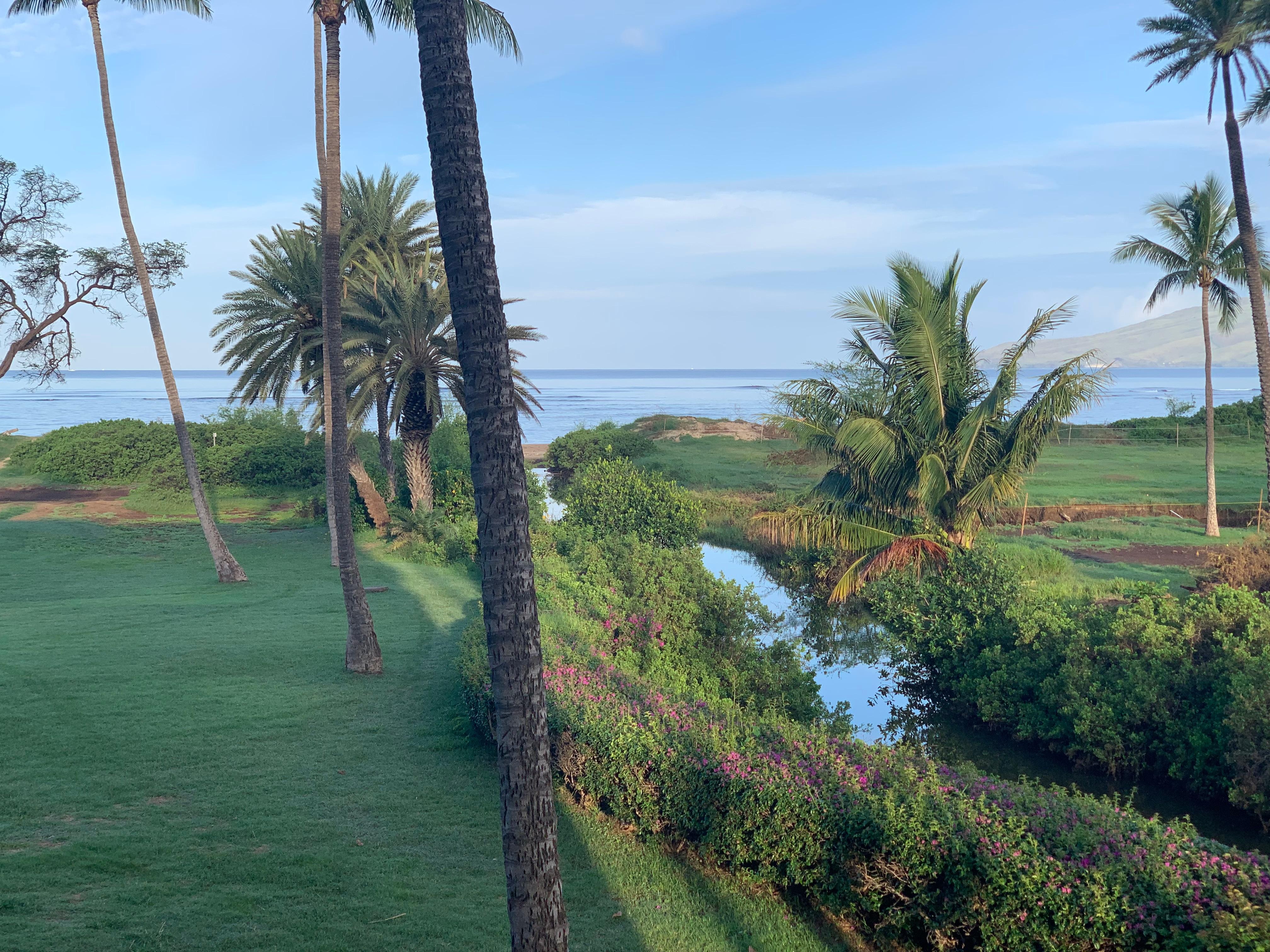 Beach from lanai
