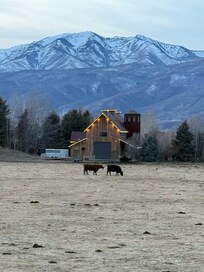 The views from the backyard were beautiful!