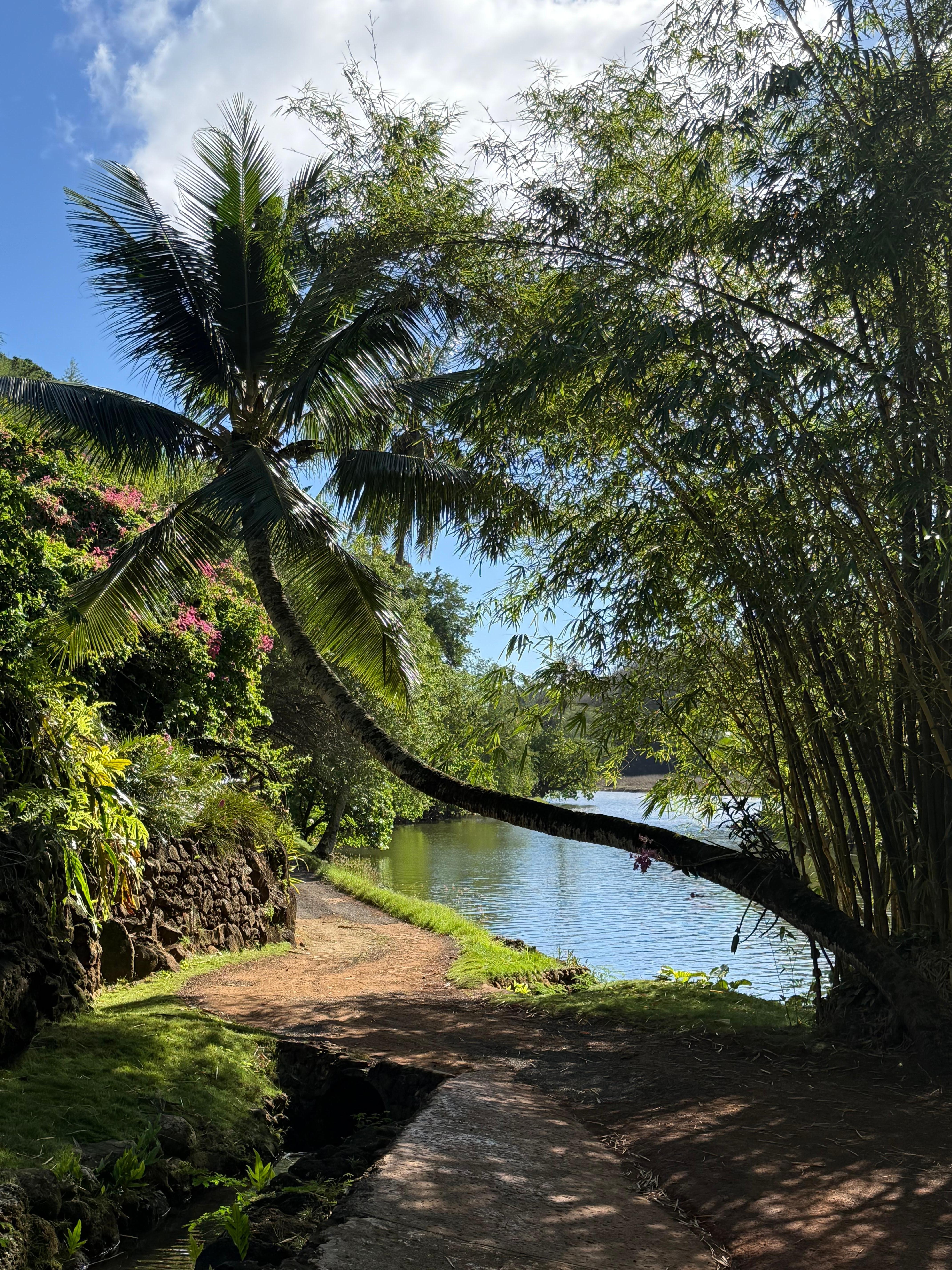 Nearby Allerton Gardens