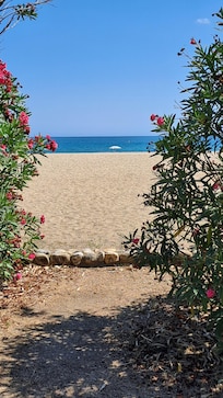 View from the sitting room window