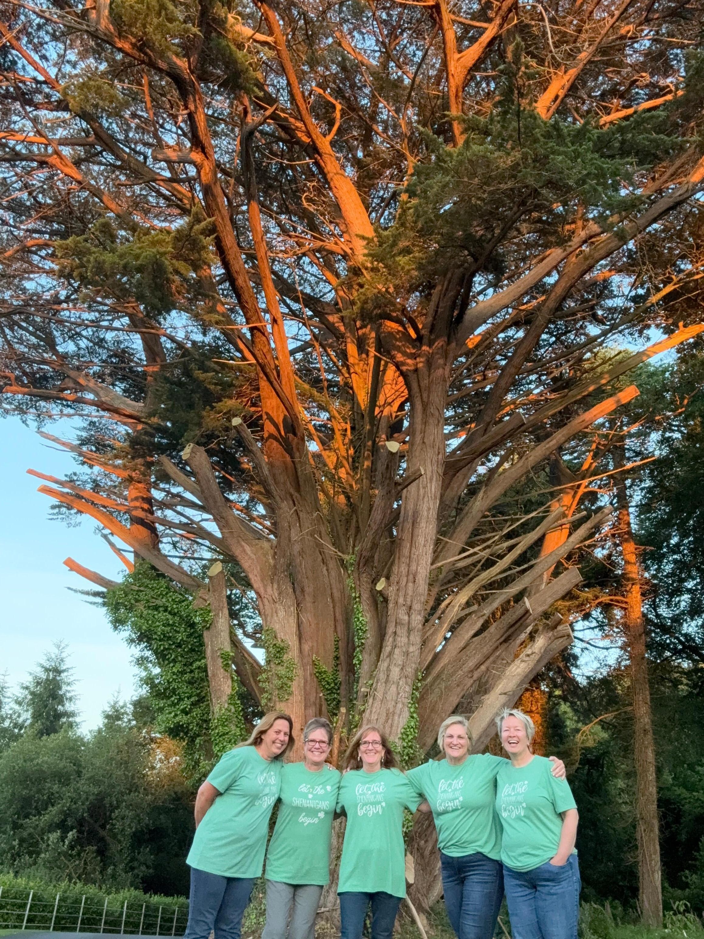 The five of us capturing our trip in front of said tree.