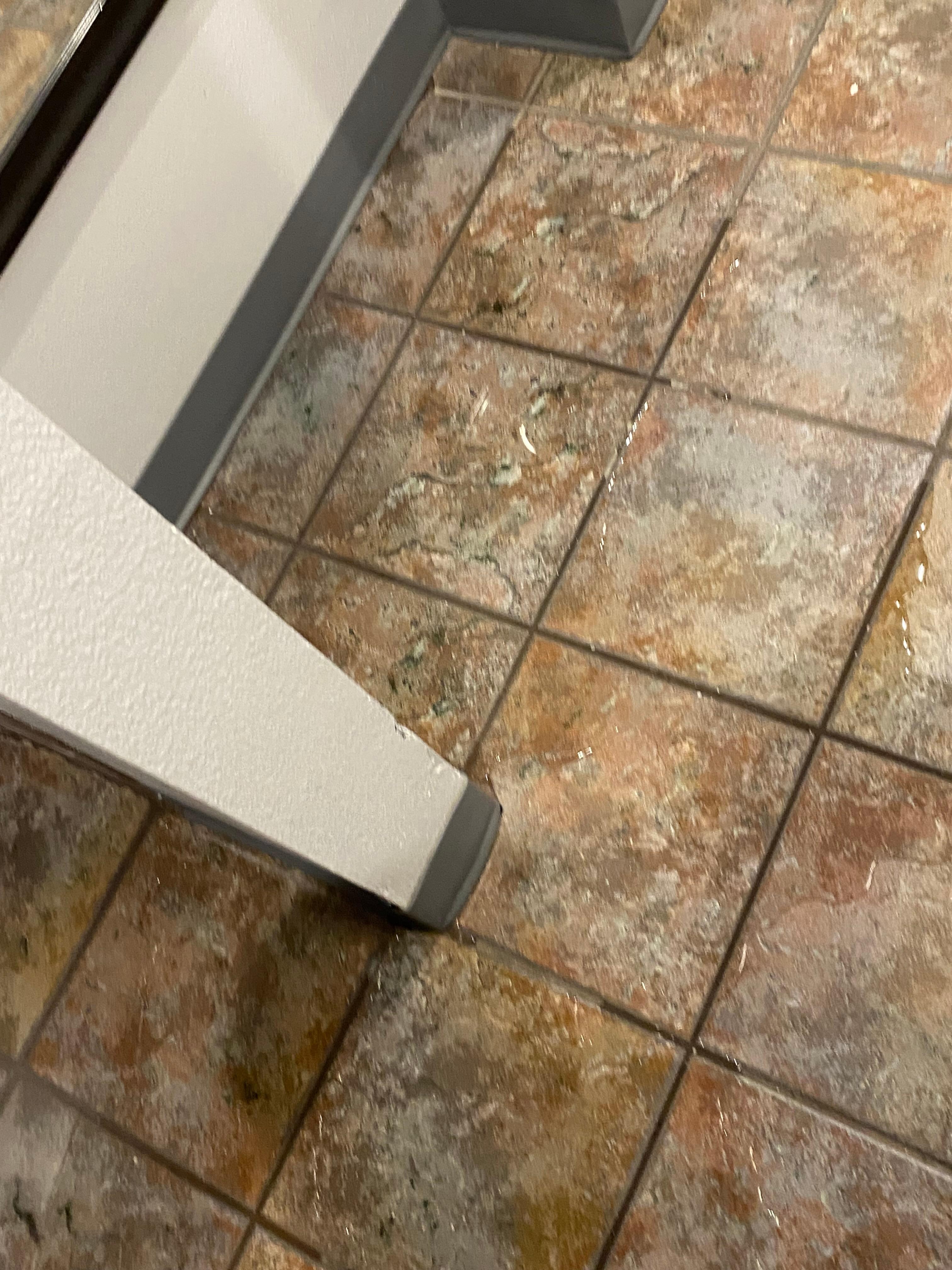 Leak from wall into room 