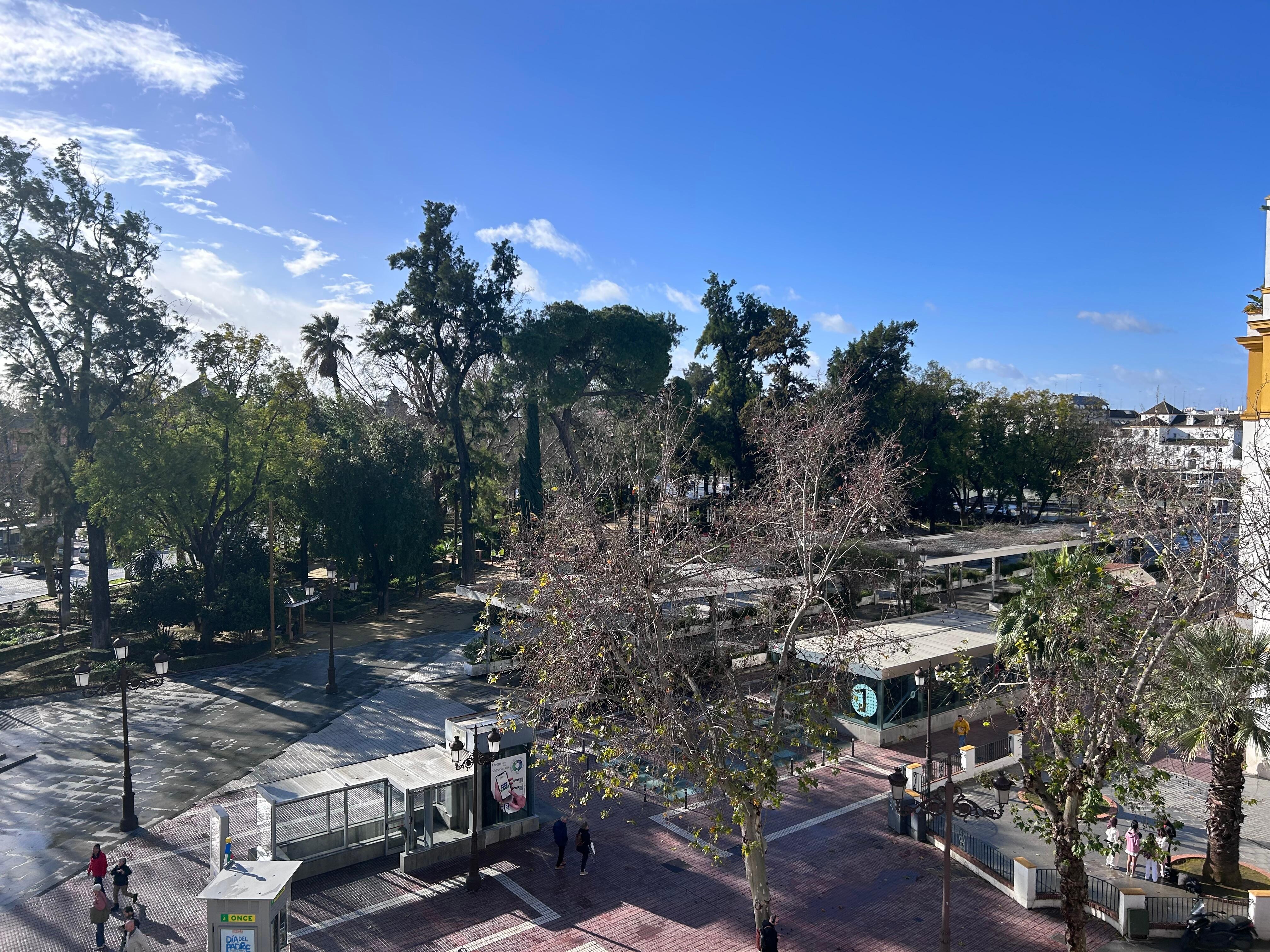 View from the window