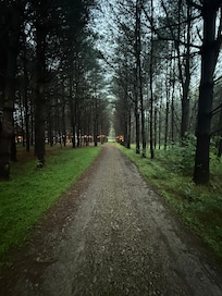 Down the the drive on the property