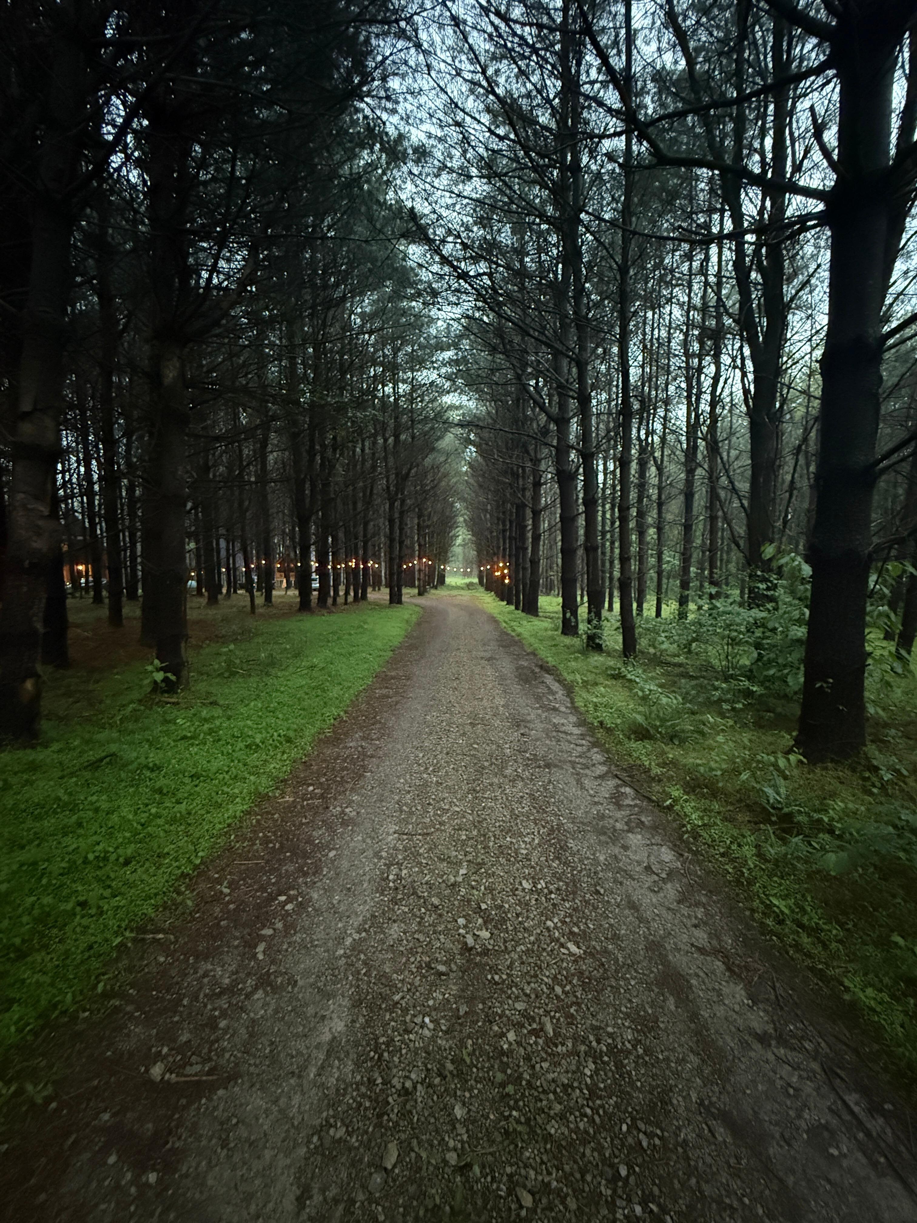 Down the the drive on the property
