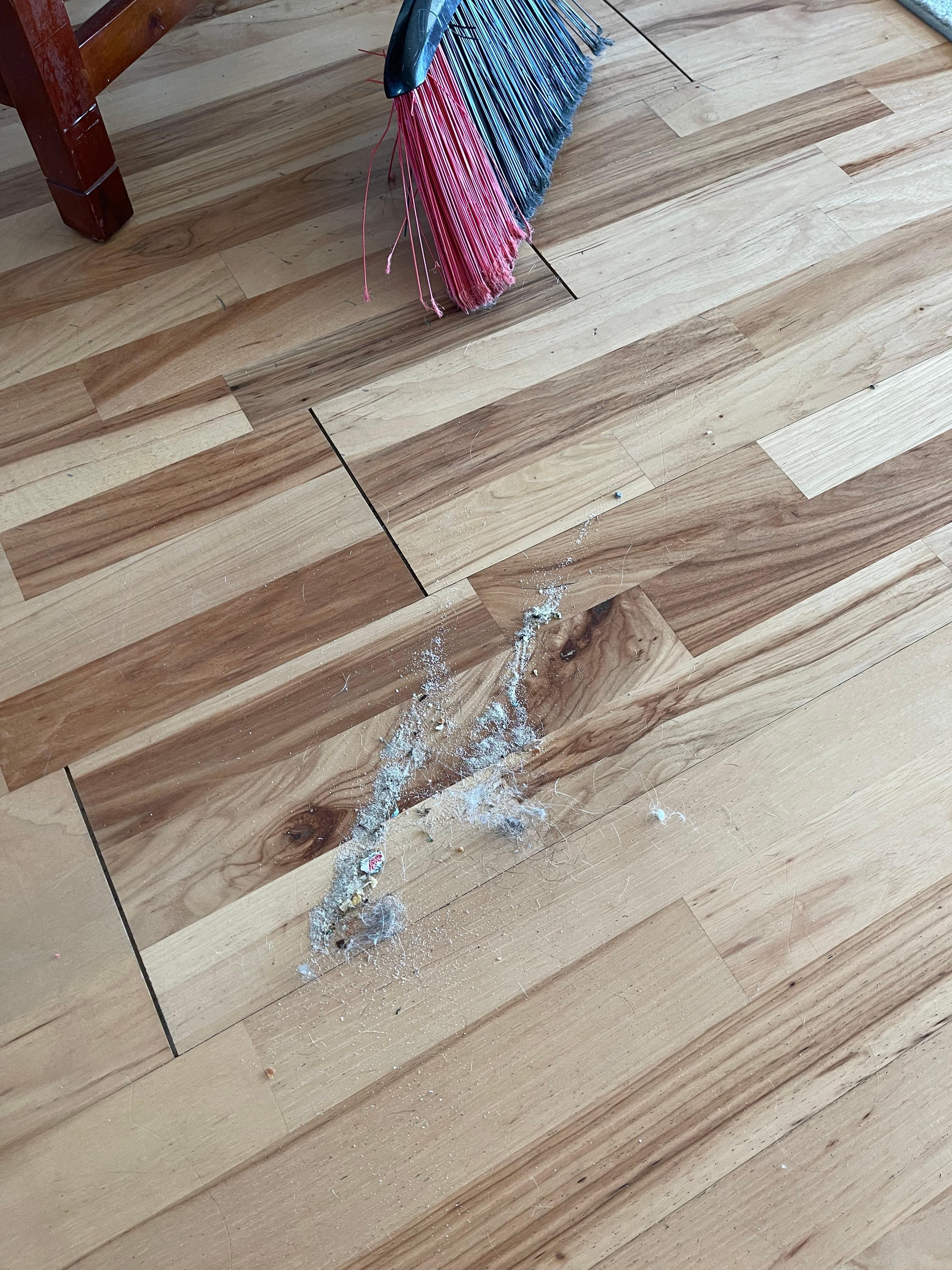 Dirt from kitchen and great room. I didn’t clean under the beds but they were nasty!