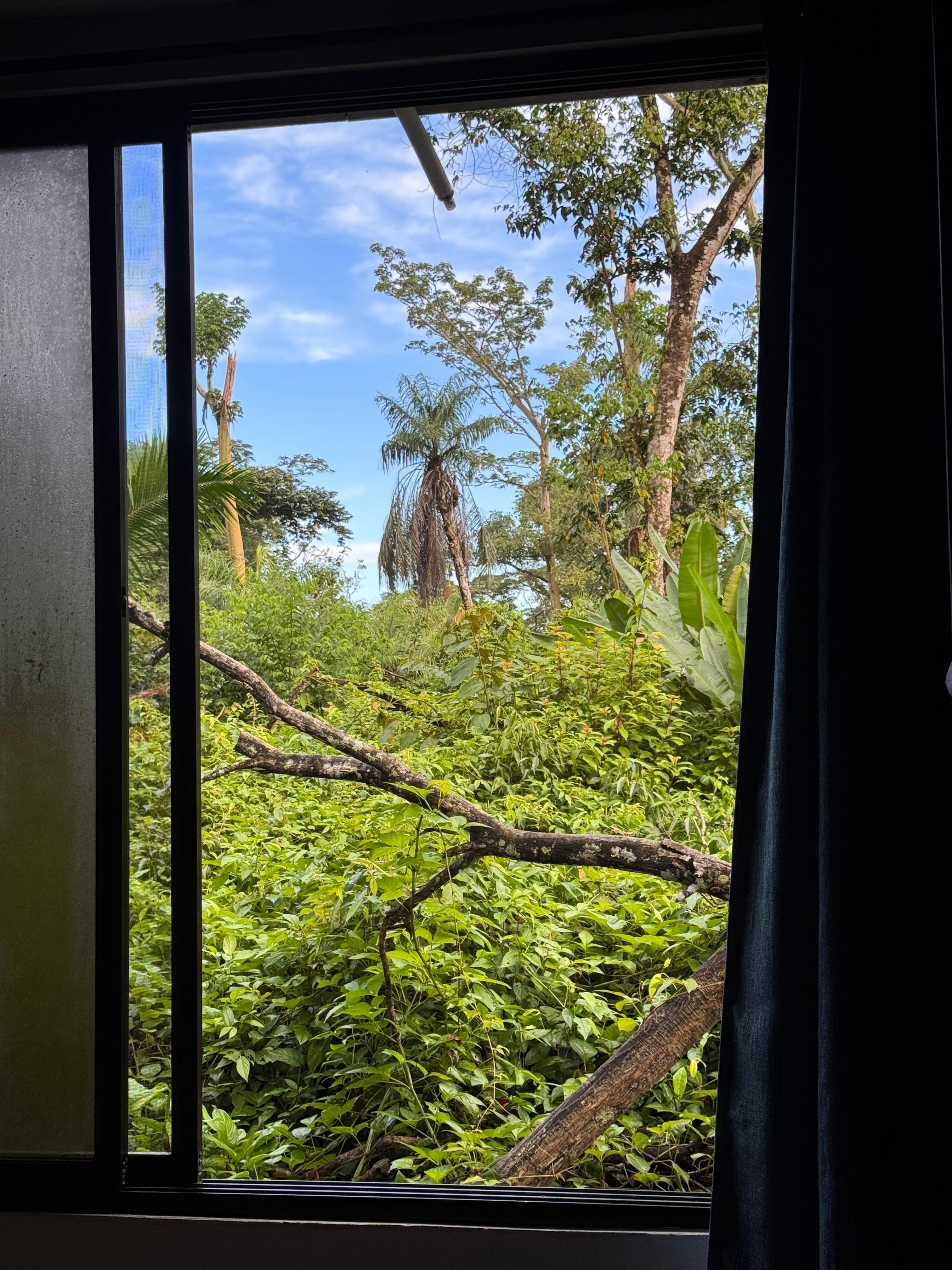 Blick aus dem Zimmerfenster