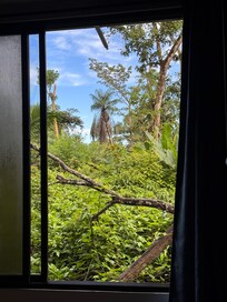 Blick aus dem Zimmerfenster