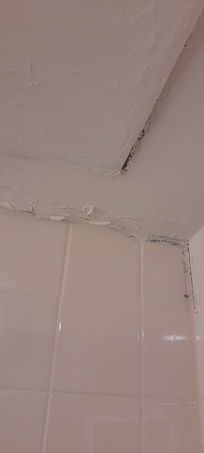 Mold and flaky paint