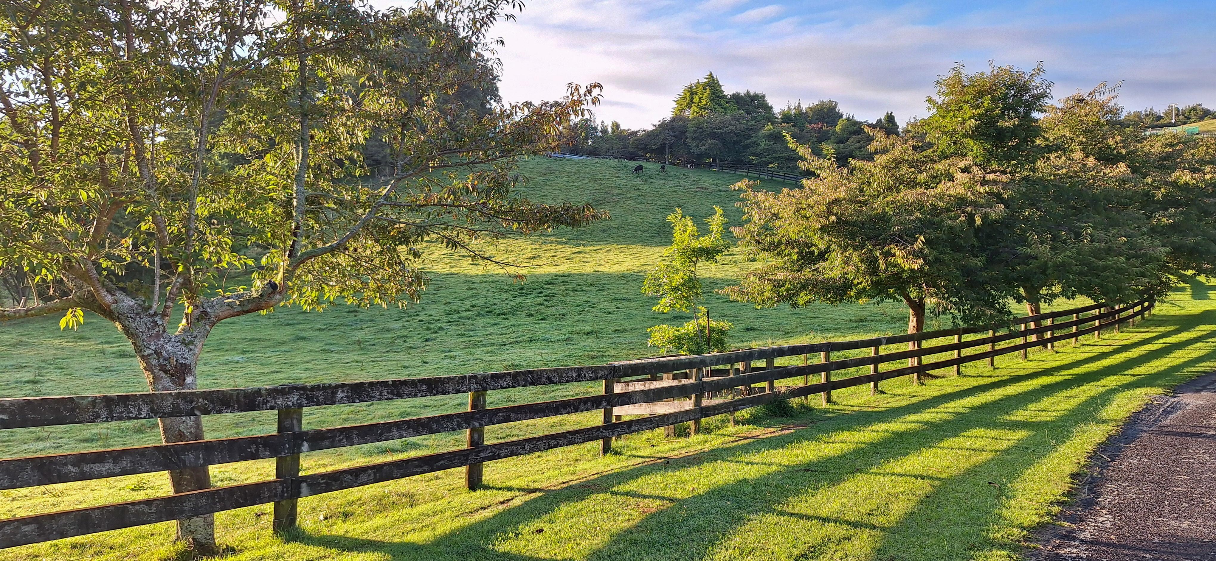 View on a short morning walk