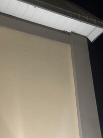 Wasp nests everywhere