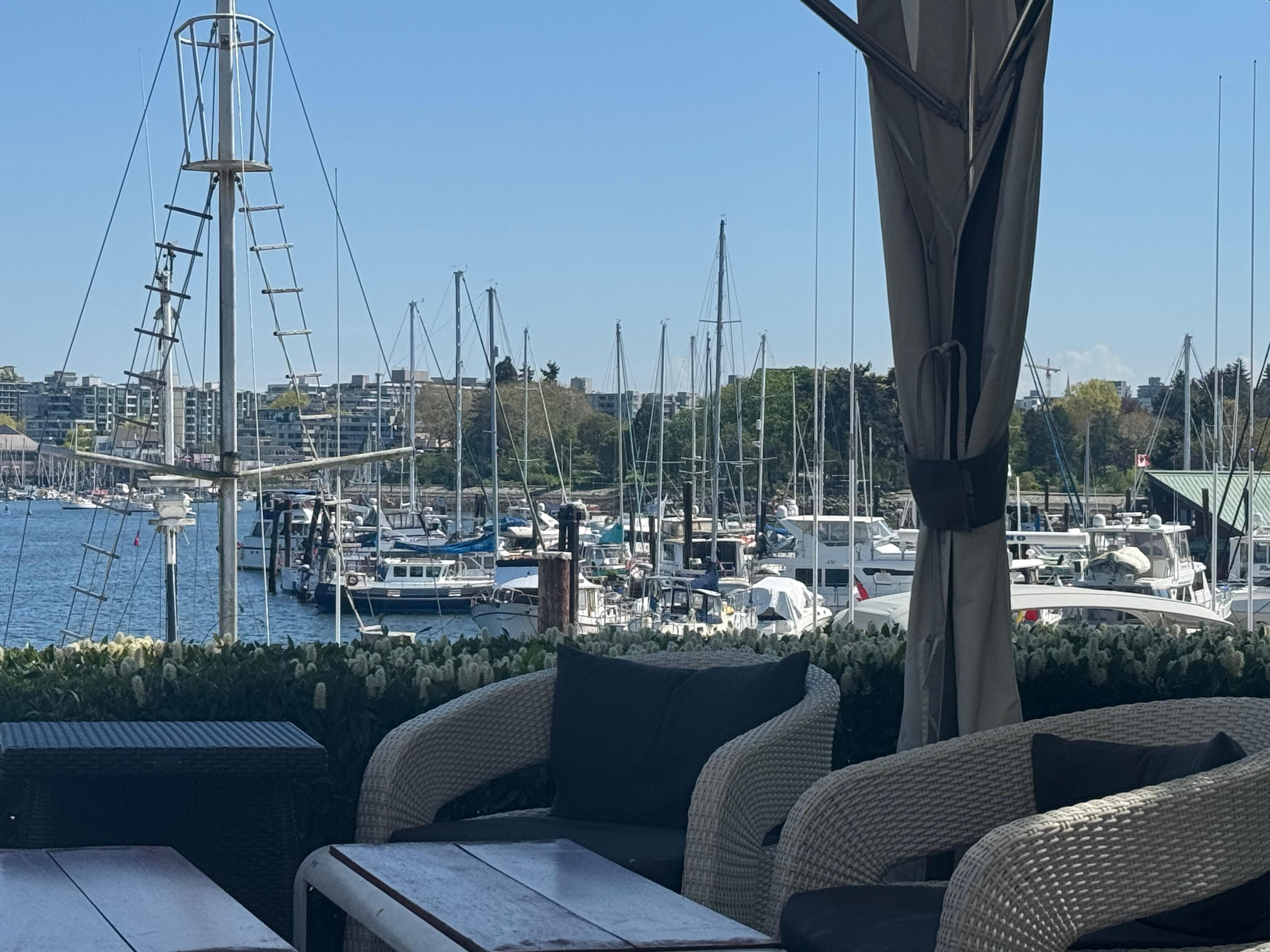 View from dining outside dining. 