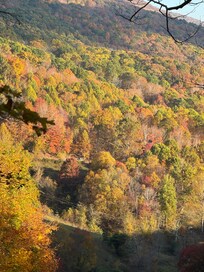 Beautiful morning view from the front porch!