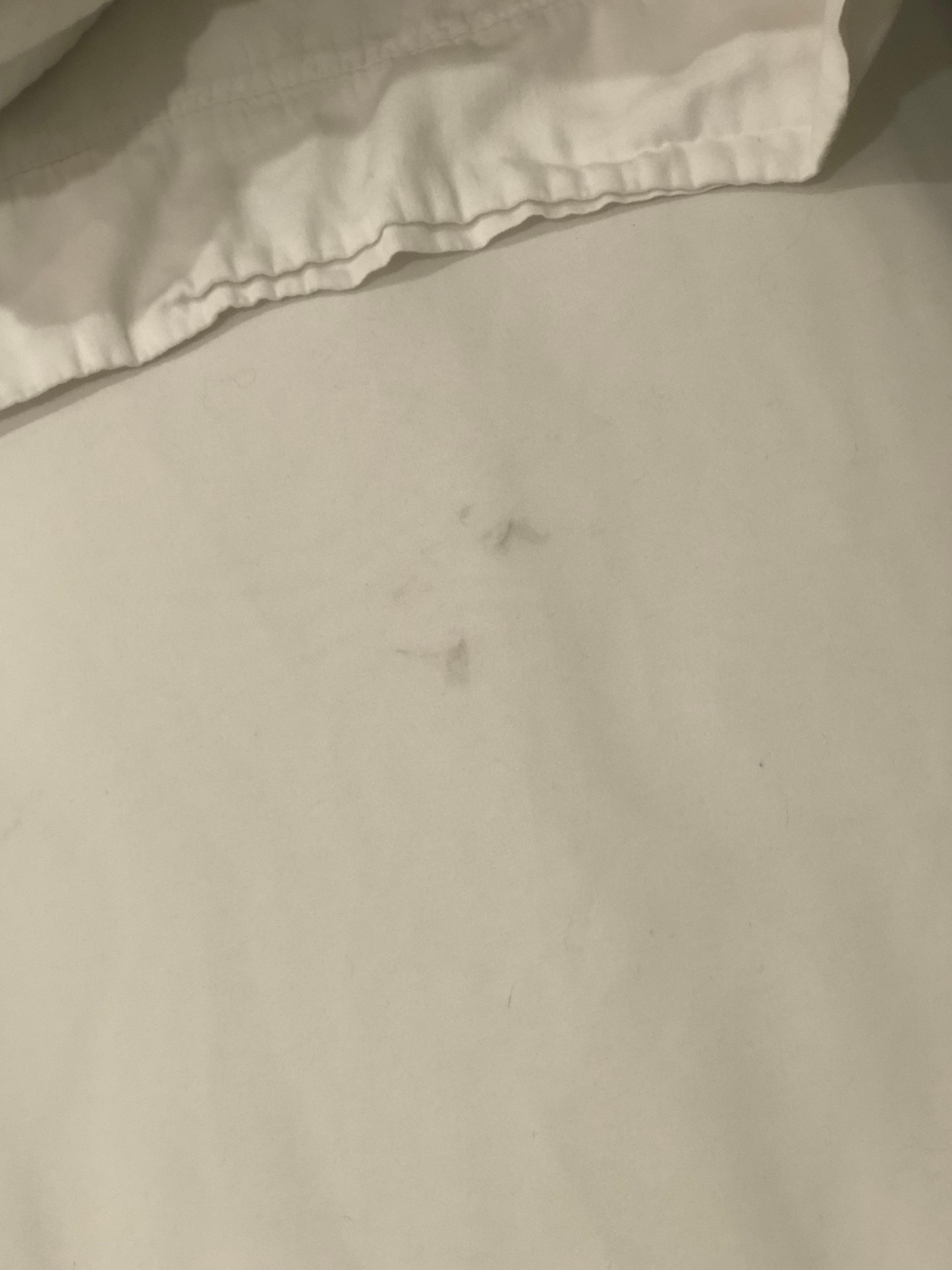Soiled bedding