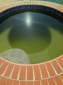 Green algae jacuzzi