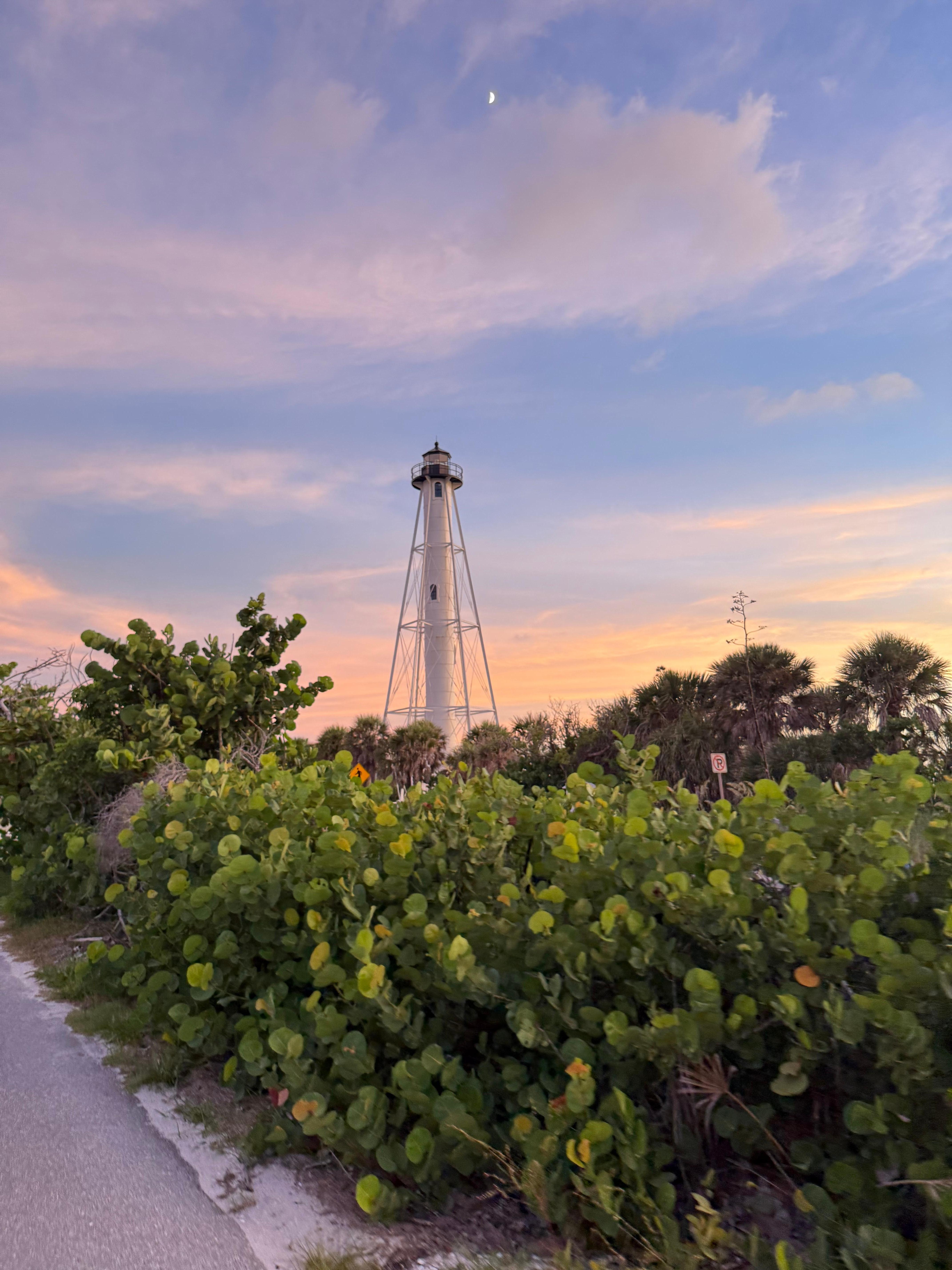 Caught this photo one evening coming back to the house from dinner.