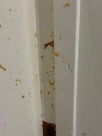 Something disgusting on a door jam