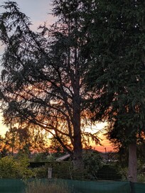 Evening sunset