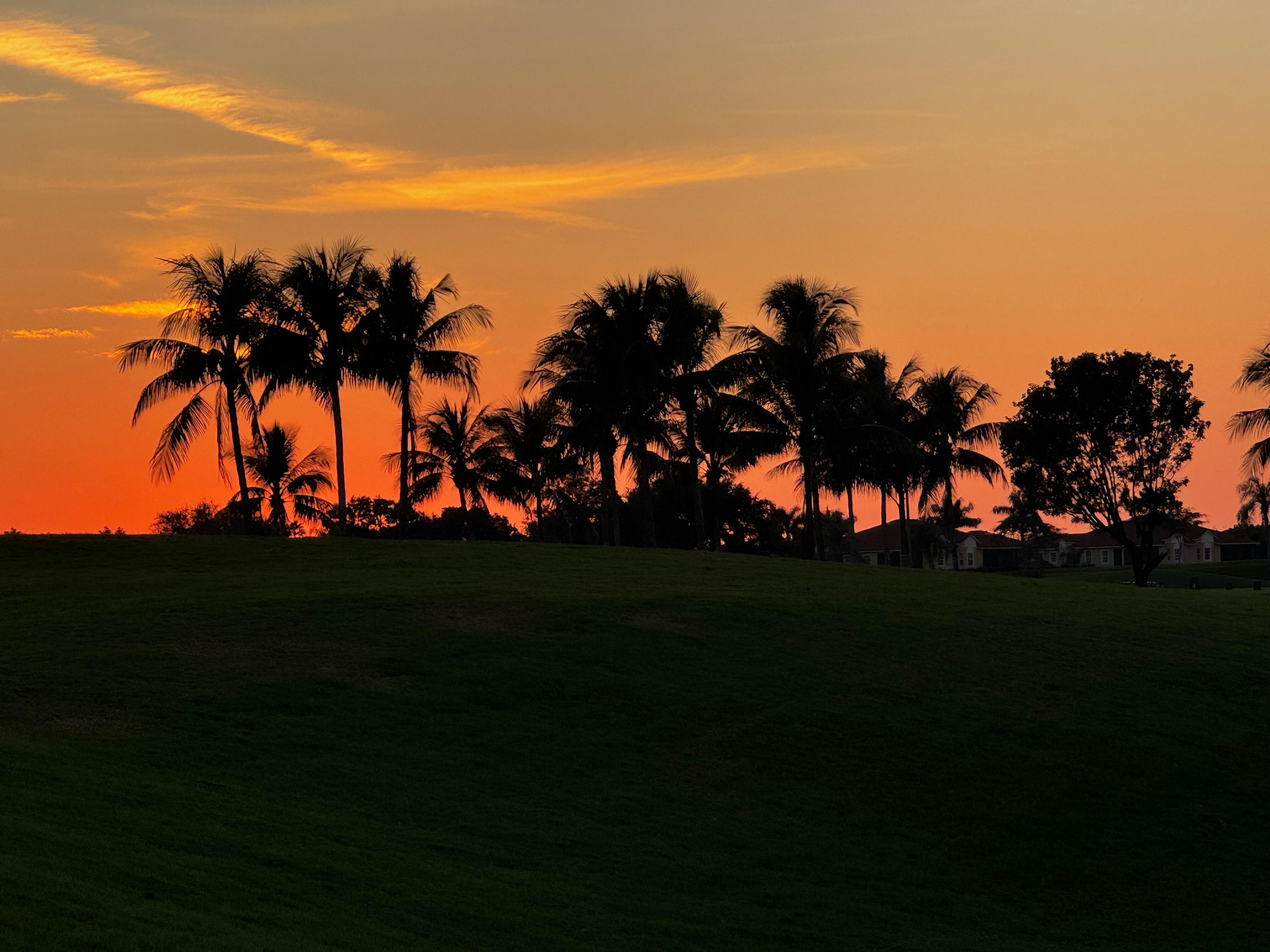 sunset from the back of property.