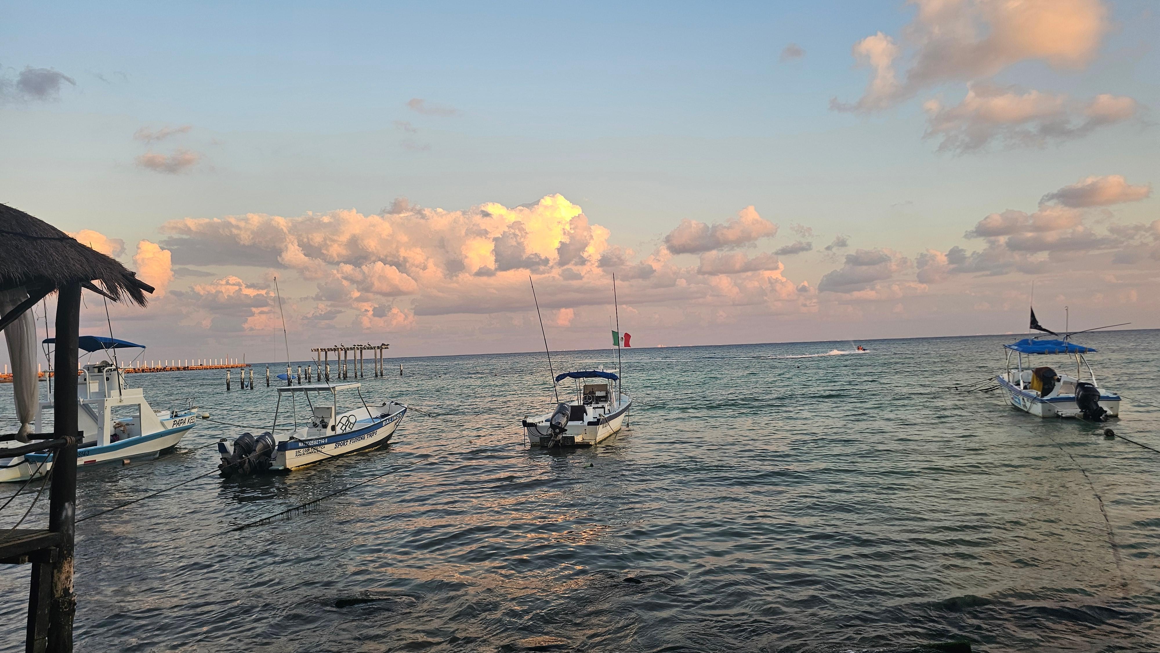 From the patio chairs