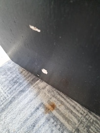 Carpet