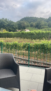 View from our terrace