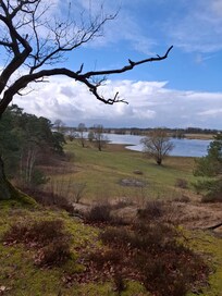 Blick auf die Elbtalauen