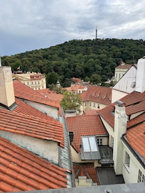 View from the back bedroom.