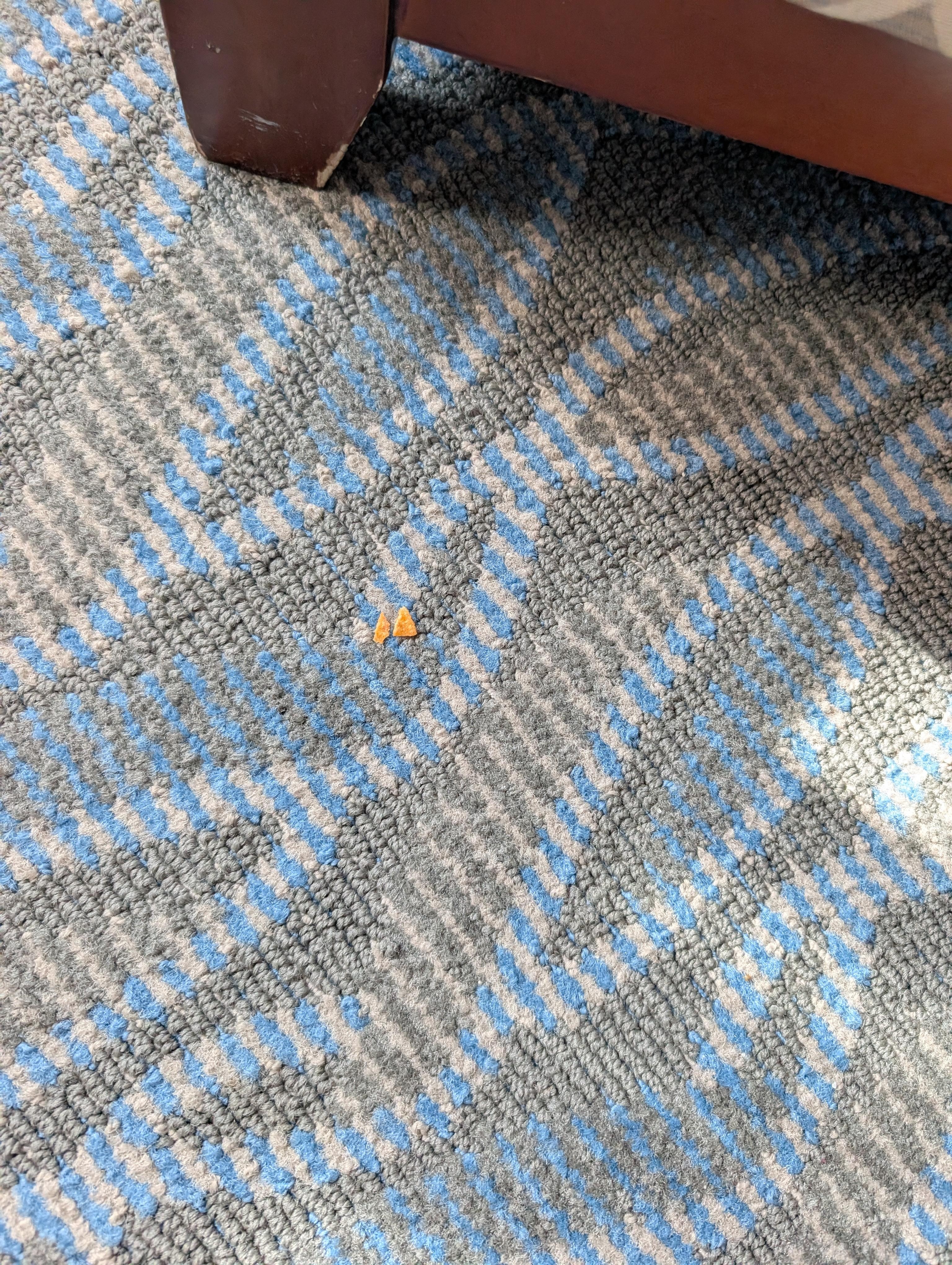 Debris on the carpet 