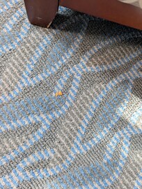 Debris on the carpet