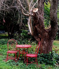 Sample of chairs and tables all over the property