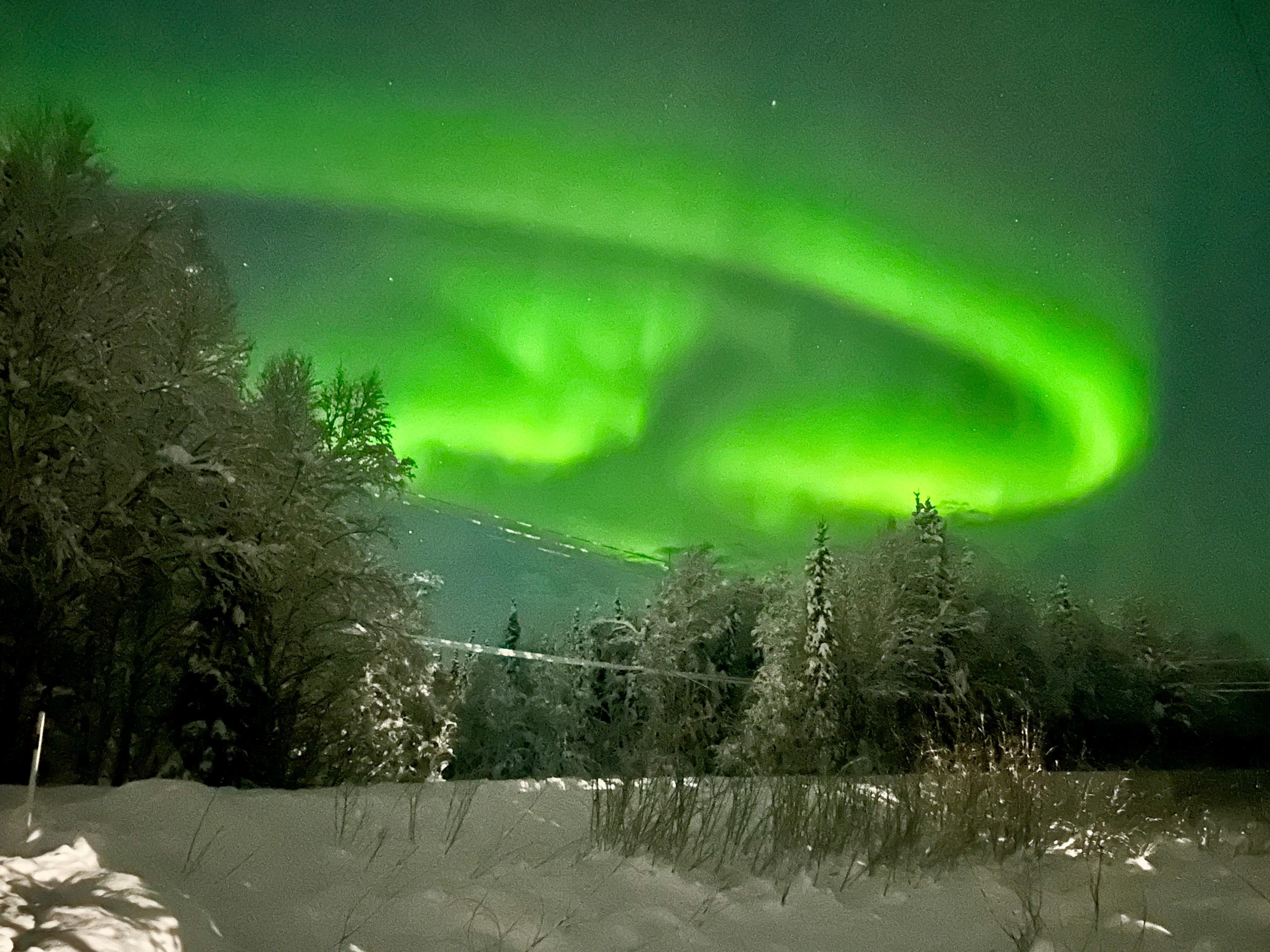 View from the driveway