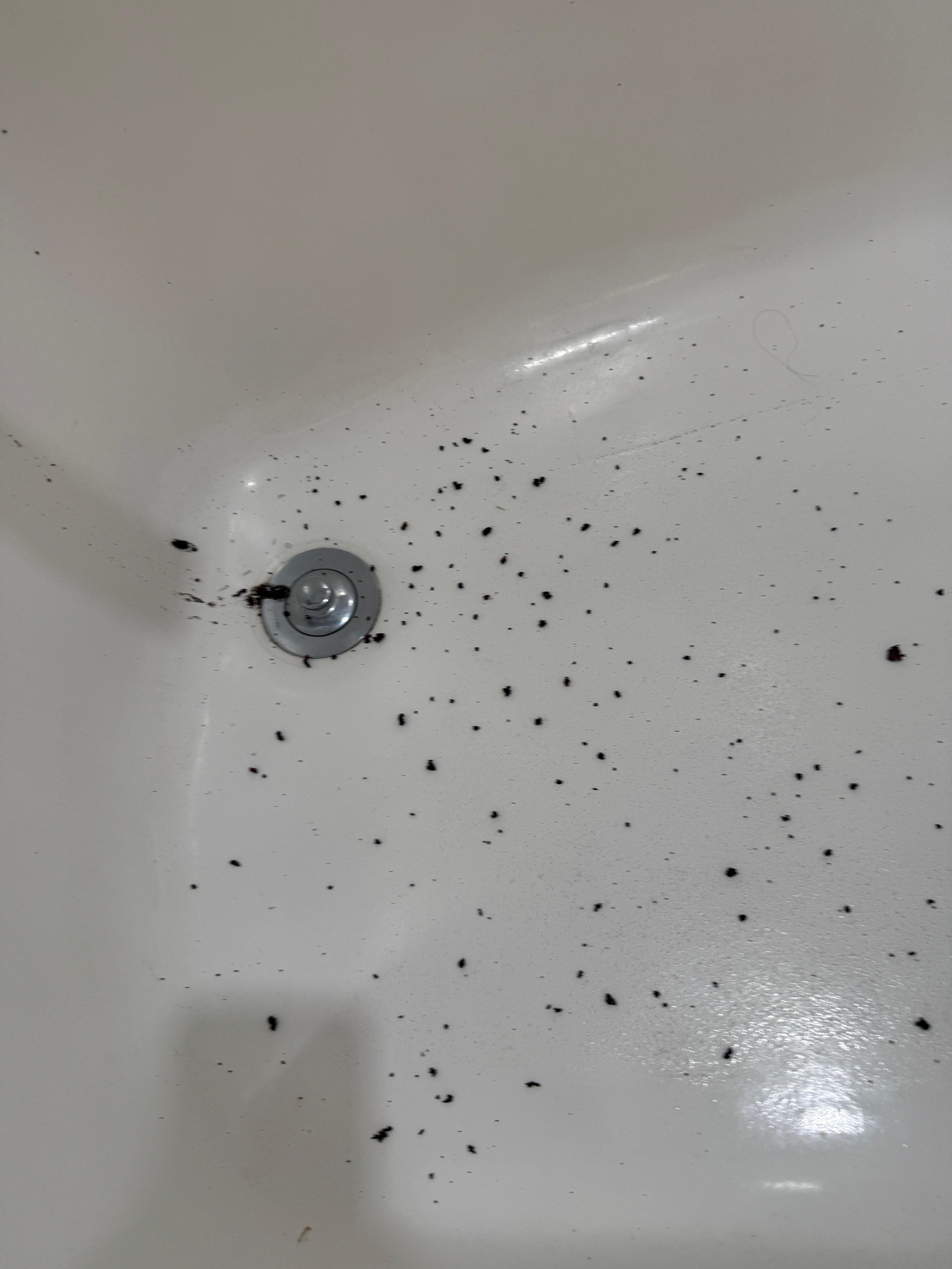 Black mold like substance in shower. 