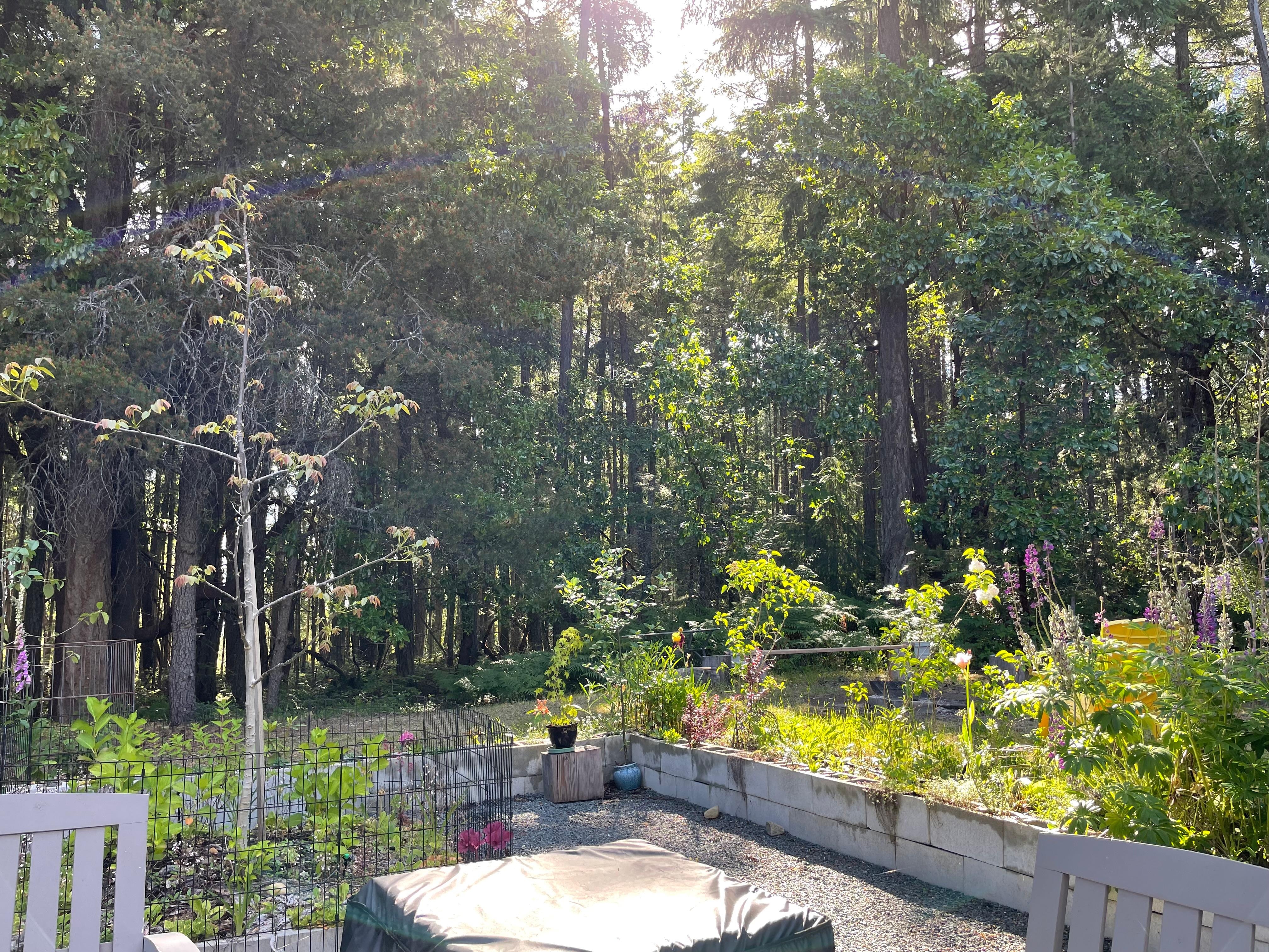 Private outdoor area next to the forest. 