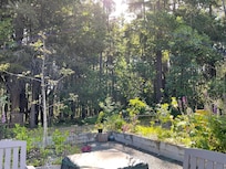 Private outdoor area next to the forest.