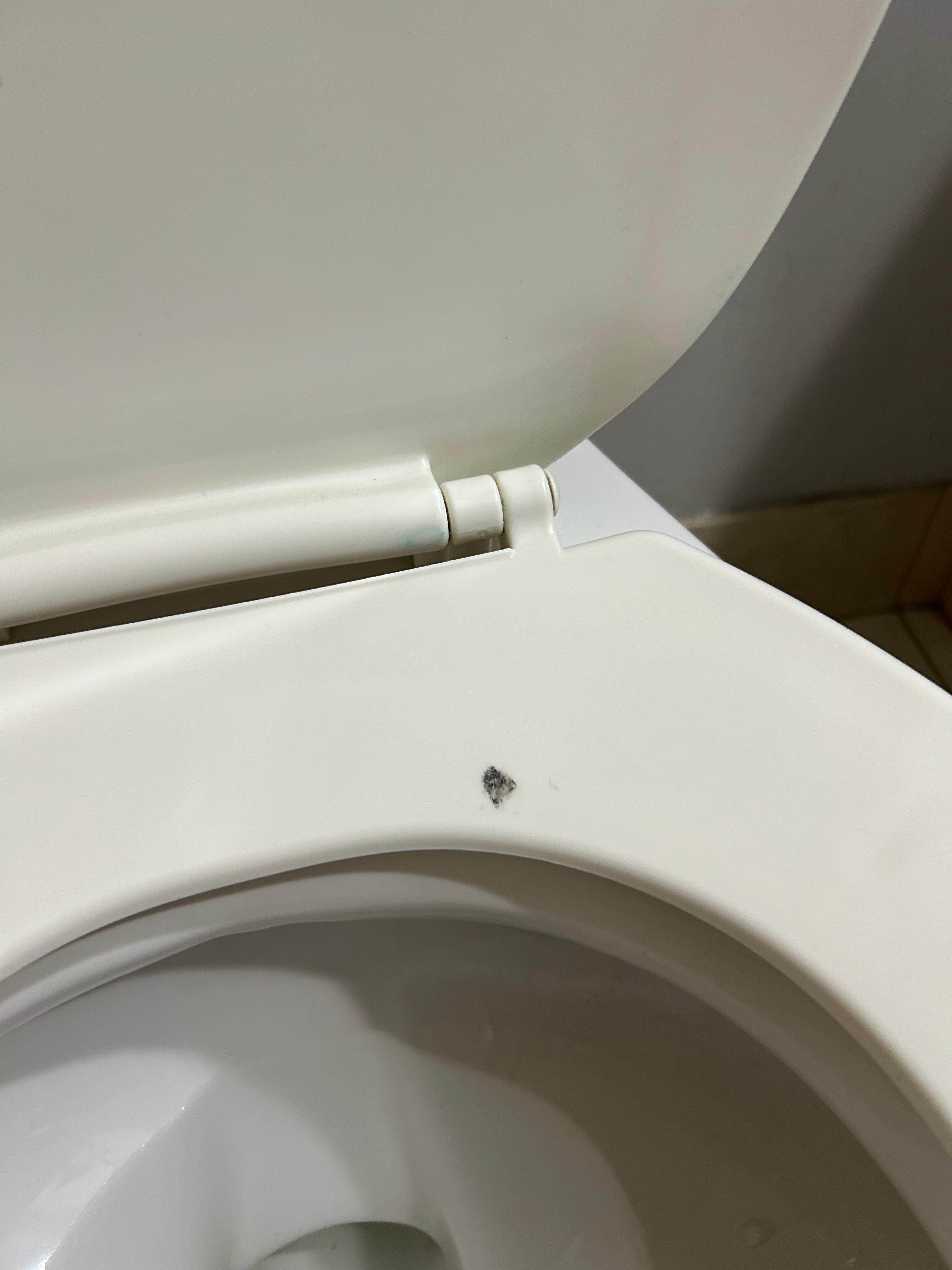 Dirty toilet seat