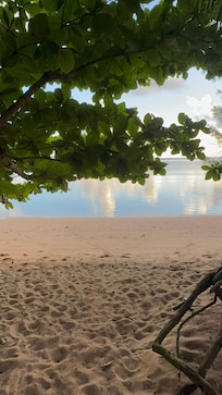 Anini Beach across the street from home.