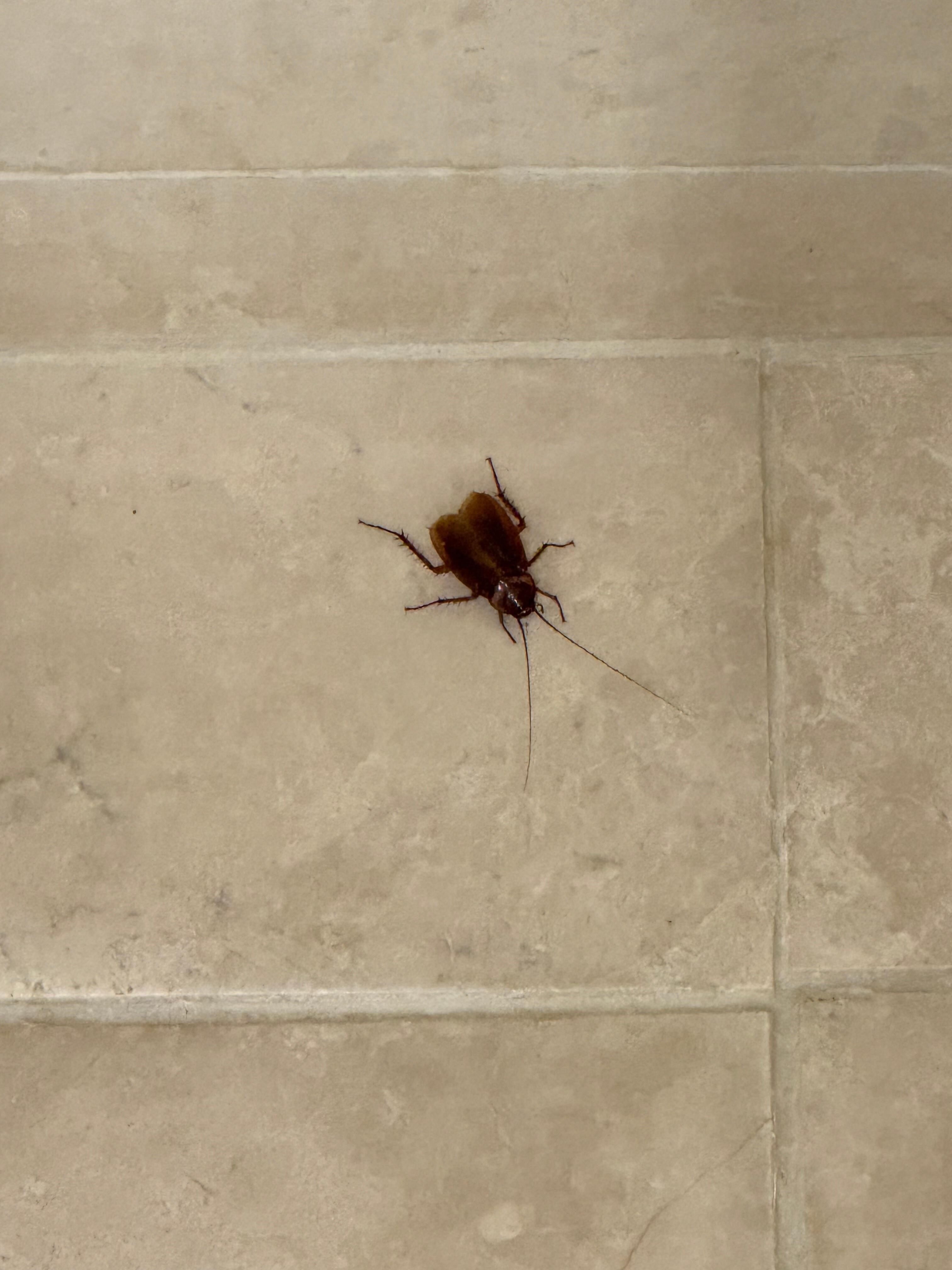 First thing we saw on the bathroom