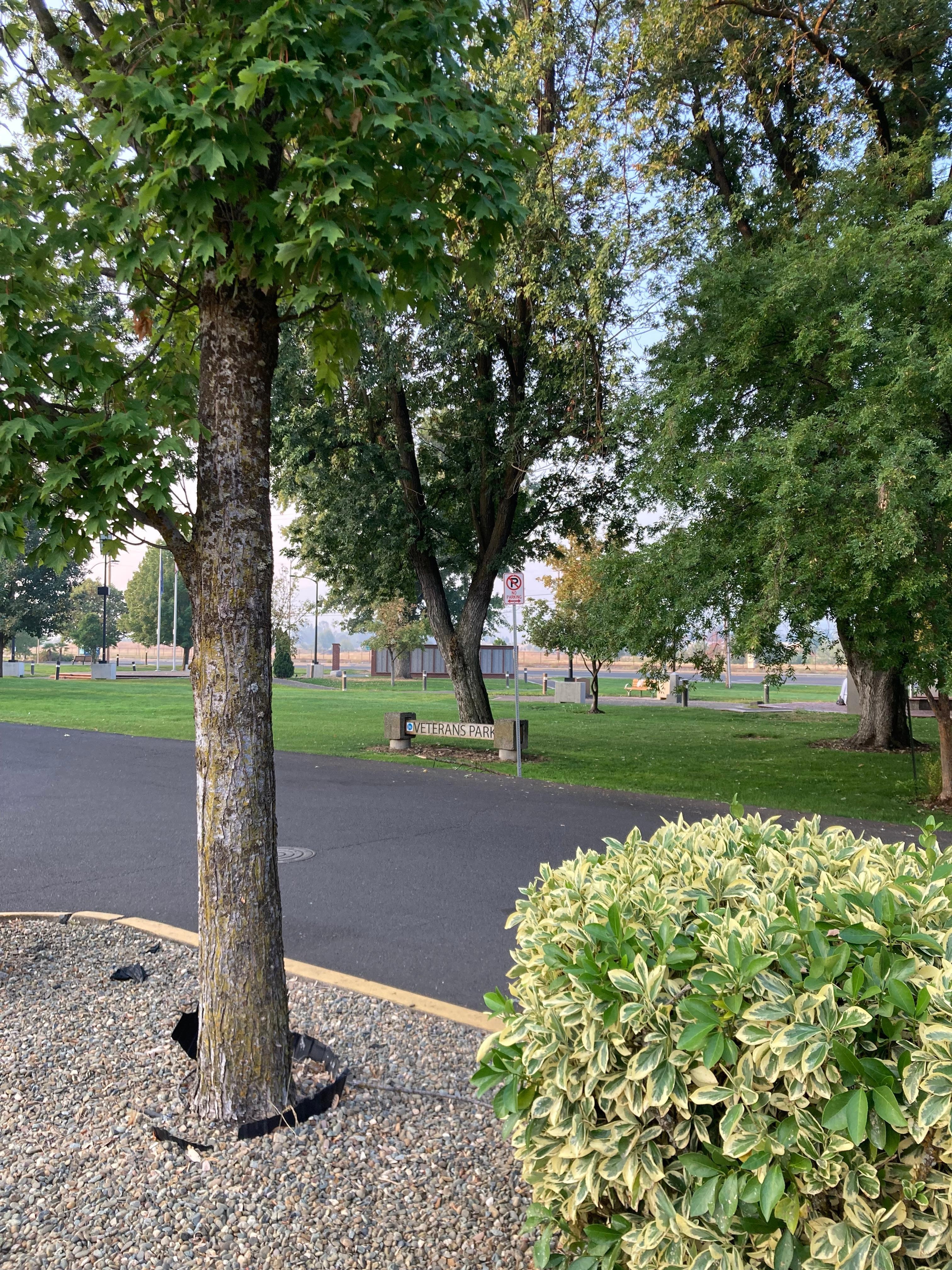 Tiny park to Honor Veterans. Best to go during the day poor lighting. 